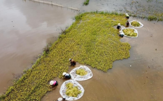 Lâm Đồng và Đắk Lắk  bị ảnh hưởng của bão số 5