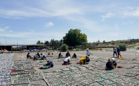 Ninh Thuận: Phát triển thương mại miền núi, vùng sâu, vùng xa giai đoạn 2021-2025