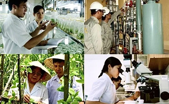 Gắn khoa học công nghệ với đổi mới sáng tạo, phát triển kinh tế - xã hội