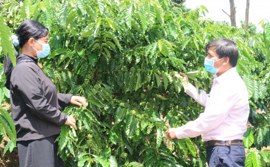 Nguồn vốn tín dụng chính sách giúp giảm nghèo cho ĐBDT thiểu số huyện Đắk GLong, Đắk Nông