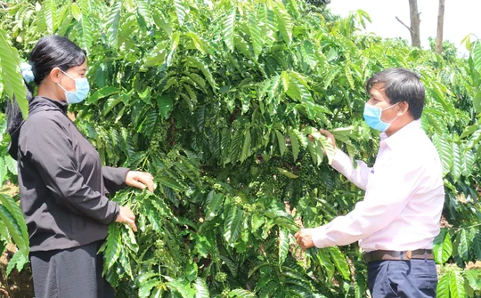 Nguồn vốn tín dụng chính sách giúp giảm nghèo cho ĐBDT thiểu số huyện Đắk GLong, Đắk Nông
