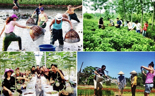 Gắn du lịch cộng đồng với xây dựng nông thôn mới