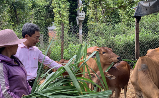 Đăk Nông: Hiệu quả của nguồn vốn tín dụng chính sách tại huyện Krông Nô