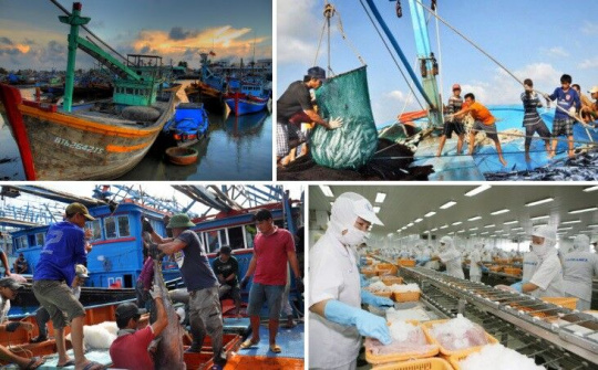 Quyết tâm gỡ cảnh báo 'thẻ vàng' của EC