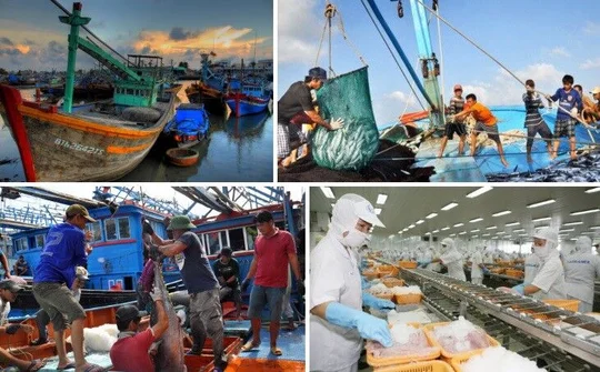Quyết tâm gỡ cảnh báo 'thẻ vàng' của EC