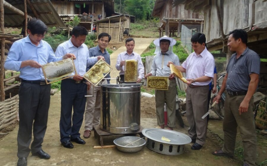 HTX ứng dụng công nghệ cao vào sản xuất (Bài 2): Hỗ trợ các HTX ứng dụng KHCN vào sản xuất