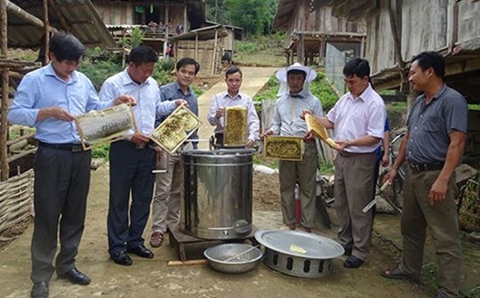 HTX ứng dụng công nghệ cao vào sản xuất (Bài 2): Hỗ trợ các HTX ứng dụng KHCN vào sản xuất
