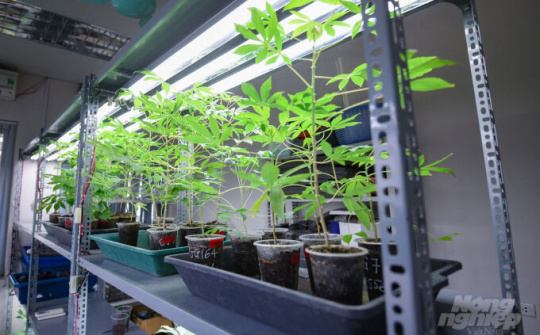 Xây dựng đề án hợp tác nâng cao hiệu quả nghiên cứu nông nghiệp