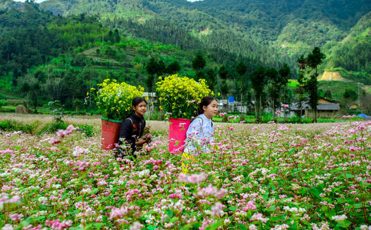 Nhiều điểm du lịch mở cửa đón du khách