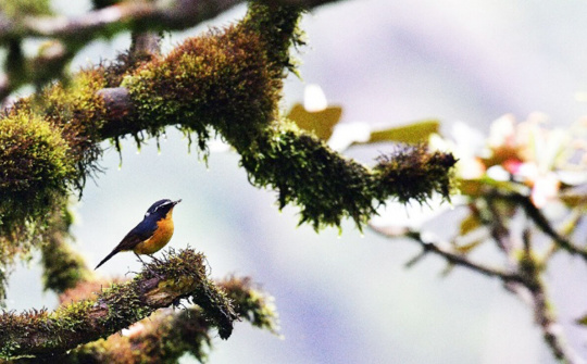 Gia Lai: Hấp dẫn khu dự trữ sinh quyển thế giới Kon Hà Nừng 