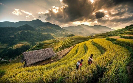 Ngắm trọn Sa Pa qua bức tranh tháng 9