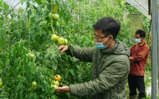 Sa Pa: Vượt dịch phát triển sản xuất