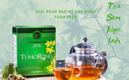 Sâm Ngọc Linh TuMơRông Kon Tum - Tiên phong nhân giống và phát triển loại sâm quý bậc nhất thế giới