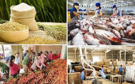 Đẩy mạnh xúc tiến xuất khẩu nông, lâm, thủy sản sau COVID-19