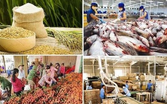 Đẩy mạnh xúc tiến xuất khẩu nông, lâm, thủy sản sau COVID-19