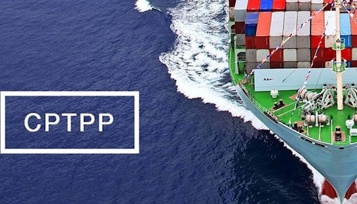 Viet Nam enjoys trade surplus with CPTPP markets