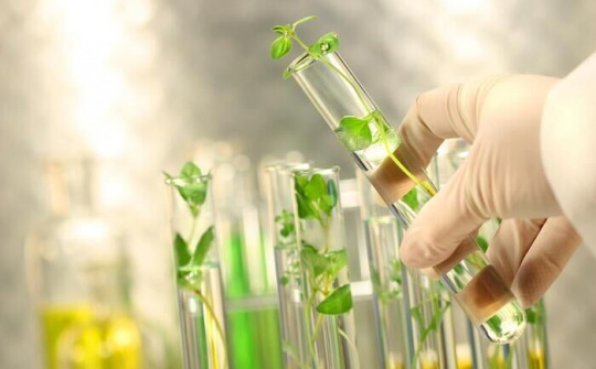 Phát triển công nghiệp sinh học ngành công thương đến năm 2030