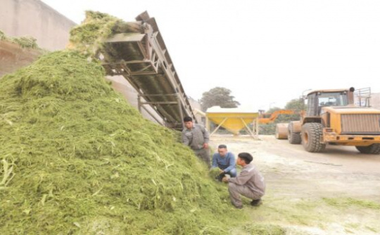 Chuyện người Việt và những “sáng chế triệu đô” tại cụm trang trại công nghệ cao khép kín lớn nhất thế giới