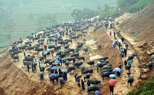 Khám phá nét độc đáo của phiên chợ vùng cao biên giới - Cán Cấu
