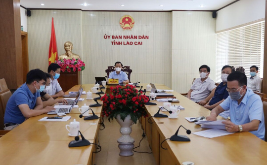 Lào Cai:  Góp ý dự thảo Chương trình Quốc gia phòng chống bệnh dại giai đoạn 2022 - 2030