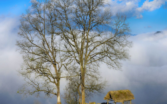 Phát triển du lịch huyện Bát Xát - Tiềm năng và thành quả