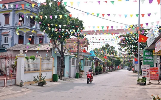 Vĩnh Phúc: Không để dịch bệnh làm ảnh hưởng tới tiến độ xây dựng nông mới 
