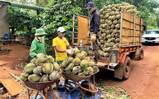 Kết nối thị trường để tiêu thụ nông sản