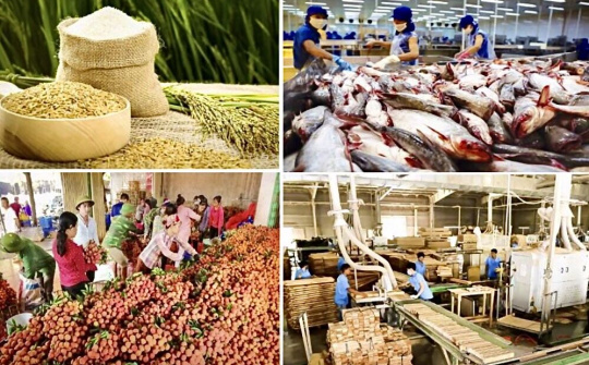 Chuỗi cung ứng nông nghiệp trong đại dịch COVID-19