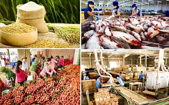 Chuỗi cung ứng nông nghiệp trong đại dịch COVID-19