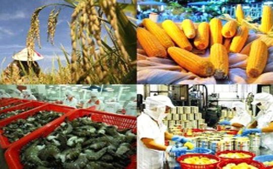 Xuất khẩu nông lâm thủy sản gặp khó bởi Covid-19