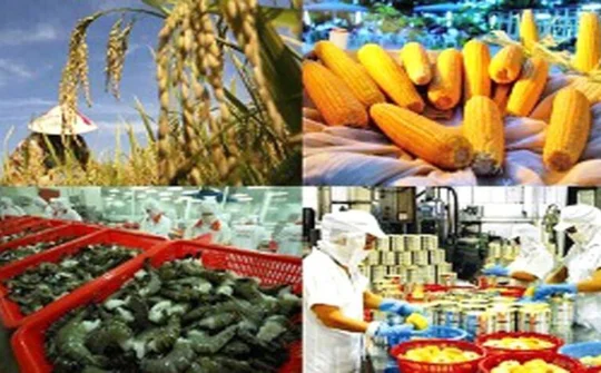 Xuất khẩu nông lâm thủy sản gặp khó bởi Covid-19