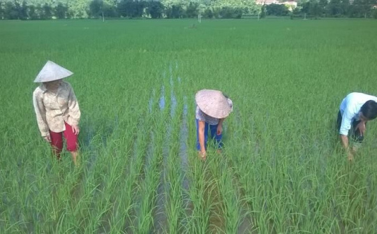 Huyện Bảo Yên: Vừa phòng chống dịch, vừa phục hồi, duy trì phát triển kinh tế - xã hội