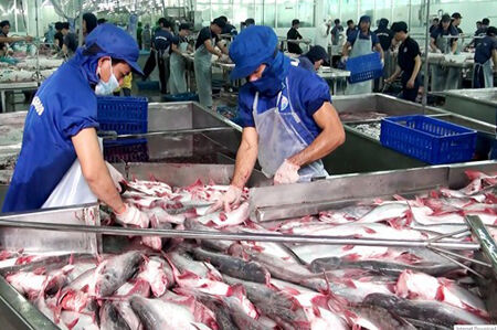 Thí điểm thanh tra chuyên ngành an toàn thực phẩm tại 9 tỉnh thành