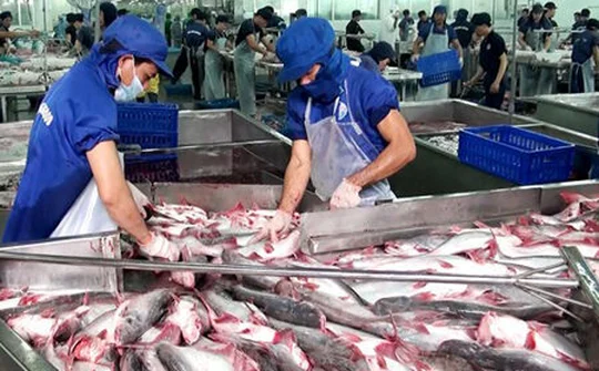 Thí điểm thanh tra chuyên ngành an toàn thực phẩm tại 9 tỉnh thành