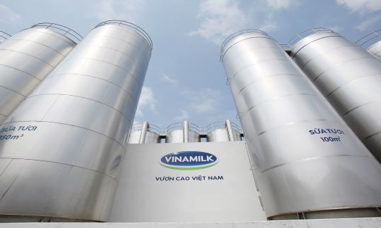 Vinamilk - đại diện duy nhất của ASEAN ‘phủ sóng’ 4 bảng xếp hạng toàn cầu về thương hiệu năm 2021