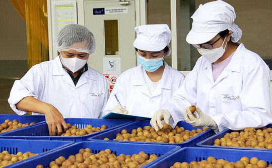 “Thông đường” cho nông sản miền bắc
