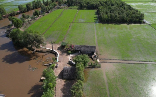 Một góc miền Tây sông nước giữa lòng thành phố Hồ Chí Minh