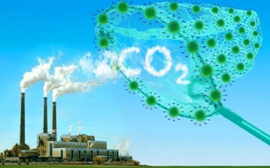 Tổ chức vận hành thí điểm sàn giao dịch tín chỉ carbon kể từ năm 2025