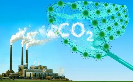 Tổ chức vận hành thí điểm sàn giao dịch tín chỉ carbon kể từ năm 2025