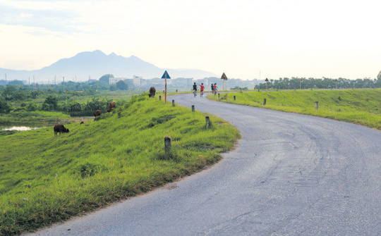 Quy định xử phạt vi phạm hành chính trong lĩnh vực phòng, chống thiên tai; thủy lợi; đê điều