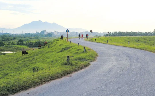 Quy định xử phạt vi phạm hành chính trong lĩnh vực phòng, chống thiên tai; thủy lợi; đê điều