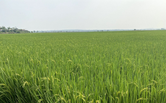 Ninh Thuận: Nông nghiệp tiếp tục phát huy hiệu quả đóng góp lớn cho tăng trưởng chung của tỉnh