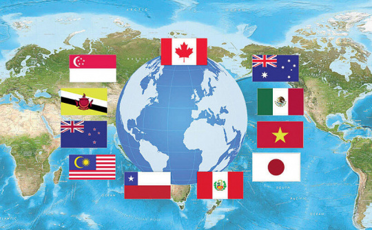 Chính phủ sửa đổi hướng dẫn đấu thầu mua sắm theo Hiệp định CPTPP