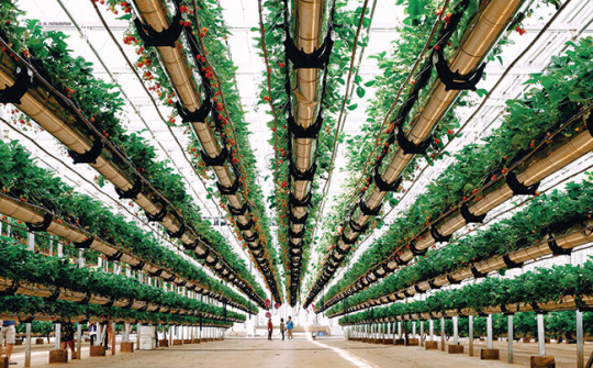 Kinh nghiệm quốc tế về phát triển nông nghiệp, nông dân, nông thôn và giá trị tham khảo đối với Việt Nam