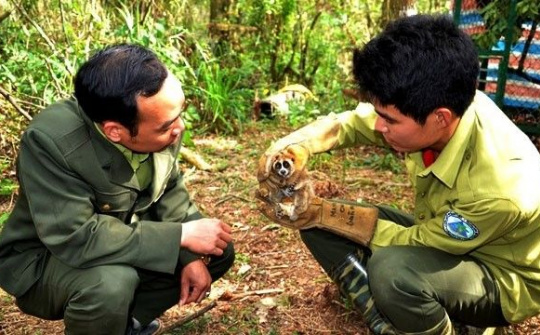 Lào Cai: Nâng cao ý thức bảo tồn động vật hoang dã trong hệ sinh thái tự nhiên