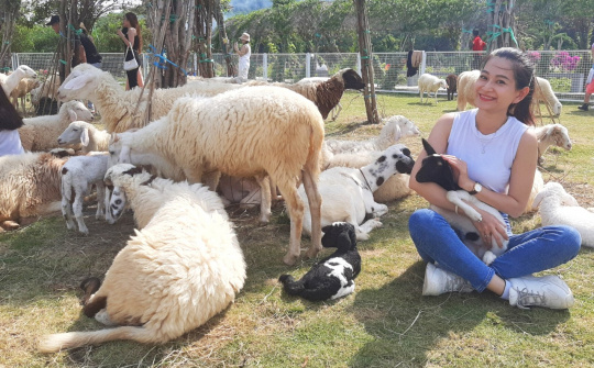 "Green Prairie" Knocks on The Door of Spring
