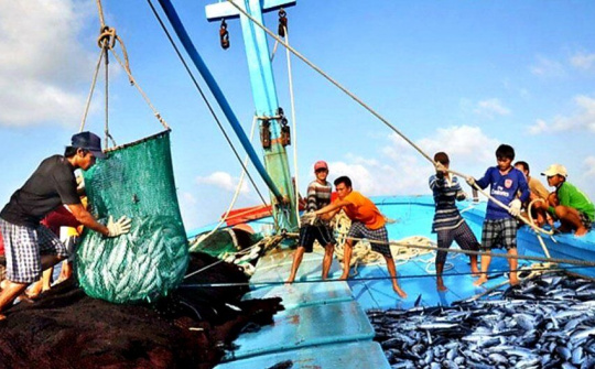 Trở thành quốc gia có nghề cá phát triển bền vững, hiện đại