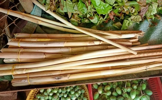 Tết, ăn gì cho đỡ ngán – đọt mây, rau nhíp món ăn bài thuốc ở Tây Nguyên