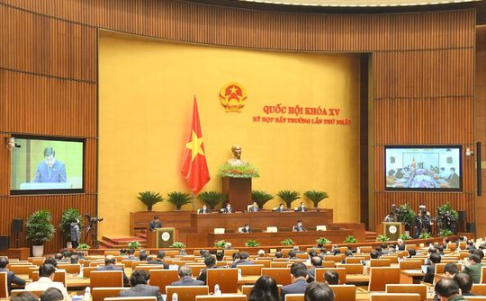 Nghị quyết kỳ họp bất thường lần thứ nhất, Quốc hội khóa XV