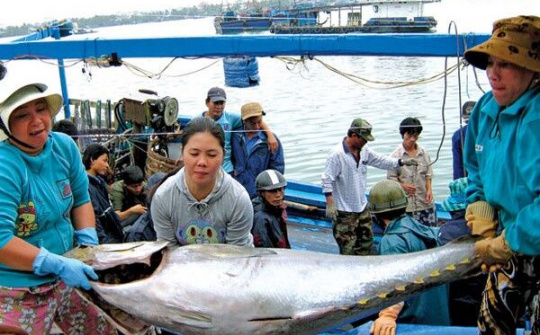 Hỗ trợ ngân sách địa phương thực hiện các chính sách an sinh xã hội
